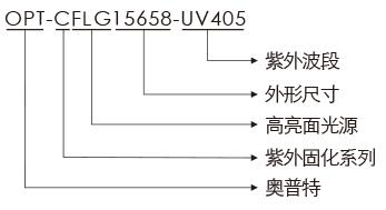 必发365(中国)兴趣网投天天必发