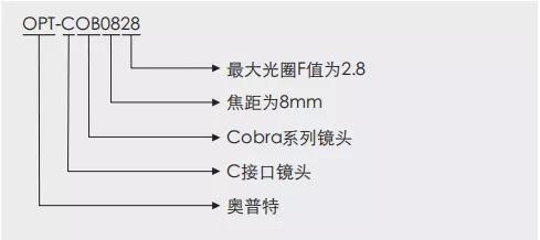 必发365(中国)兴趣网投天天必发